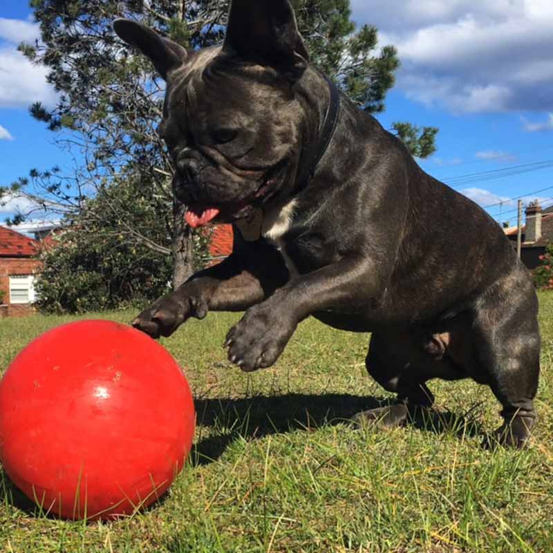 Enduro Ball Medium