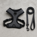 No-Pull Harness & Lead Set